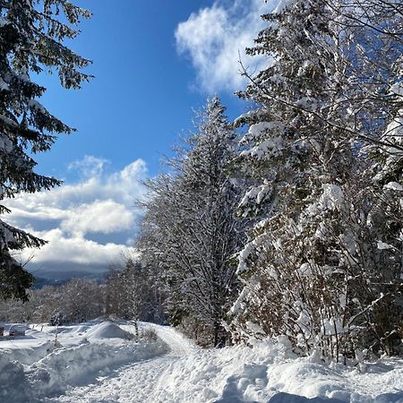Pine Lodge Hlevci Luaran gambar