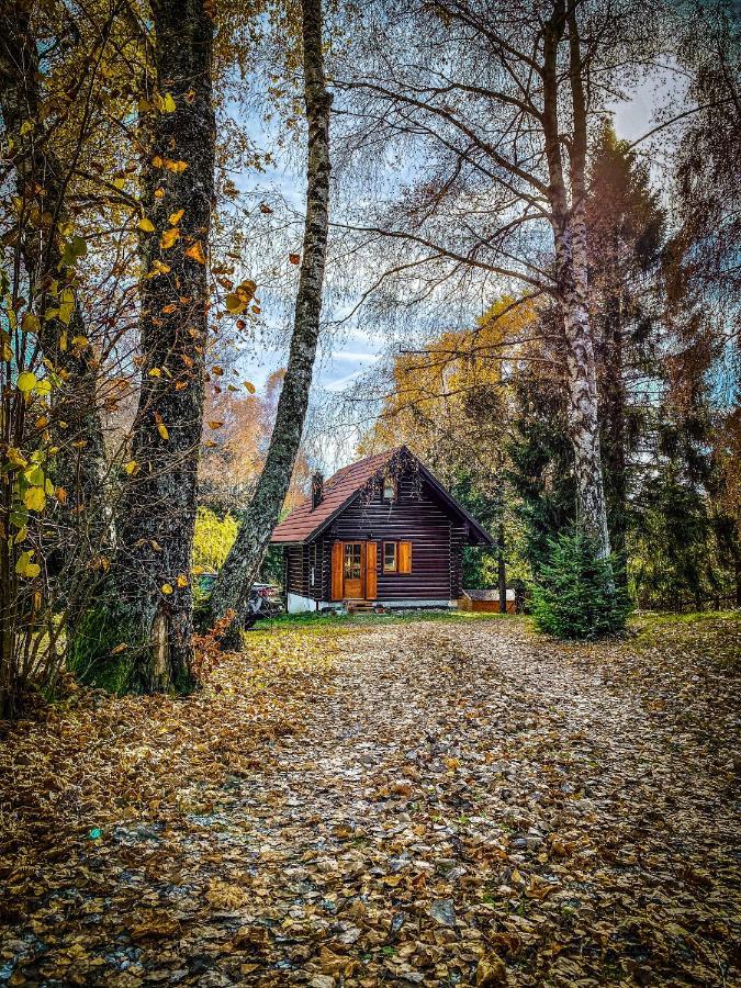 Pine Lodge Hlevci Luaran gambar