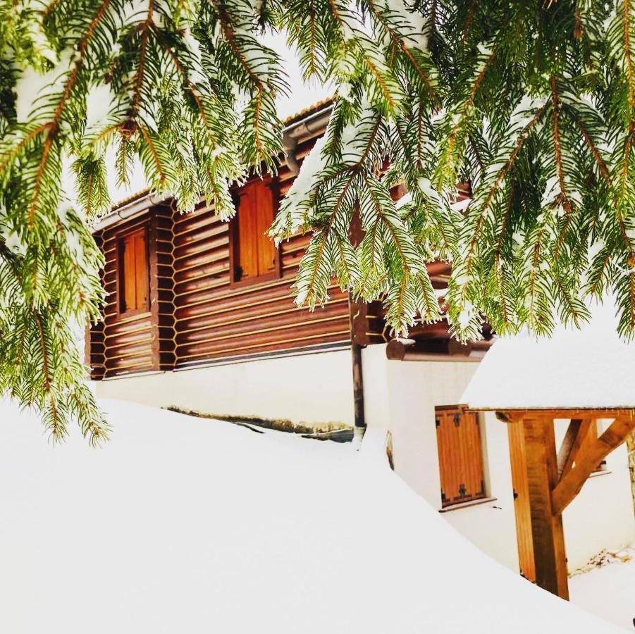 Pine Lodge Hlevci Luaran gambar