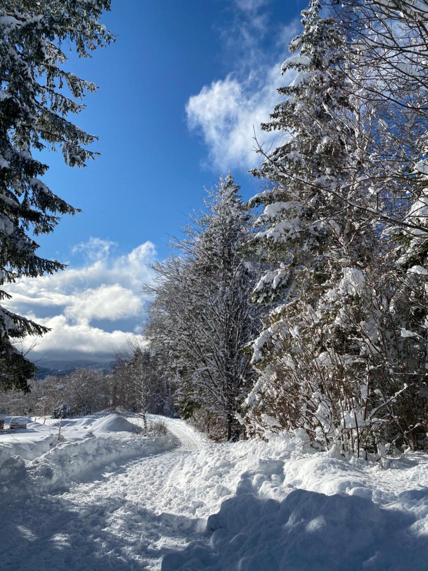 Pine Lodge Hlevci Luaran gambar